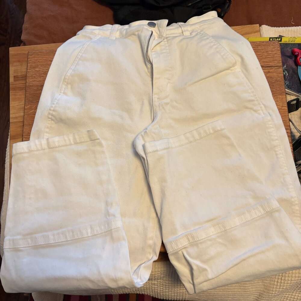 Everlane Utility Barrel Pant